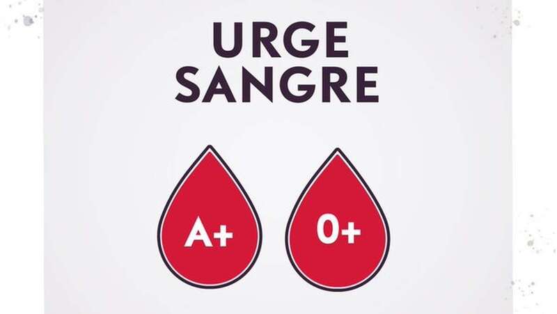 Se precisan especialmente donaciones de los grupos A+ y 0+ / TA